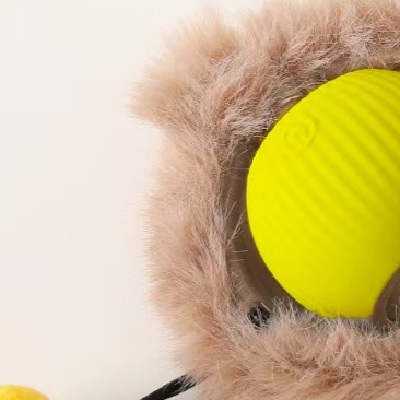 Interactive Dog Toy Ball with Rope - Durable Fetch Toy