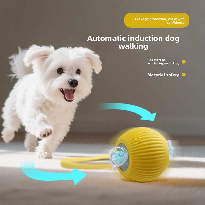 Interactive Dog Toy Ball with Rope - Durable Fetch Toy
